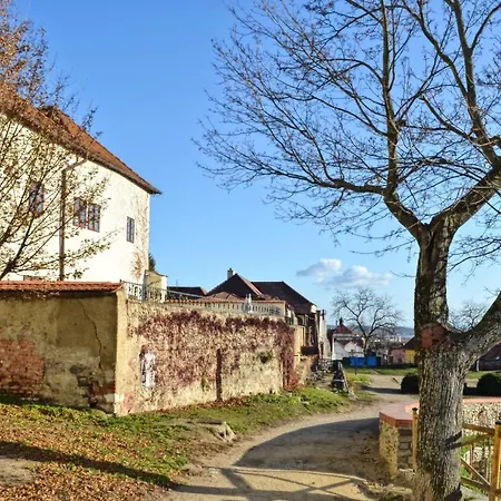 4 In The Historic Part Of Apartment *